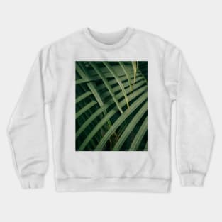 Green Leaf Plant - Inspirational Crewneck Sweatshirt